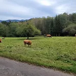 Maison De Holiday home Le Thillot