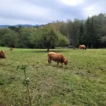 Maison De Holiday home Le Thillot