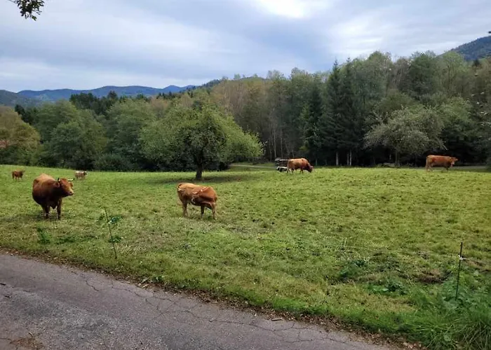 Maison De Дом отдыха Ле-Тийо