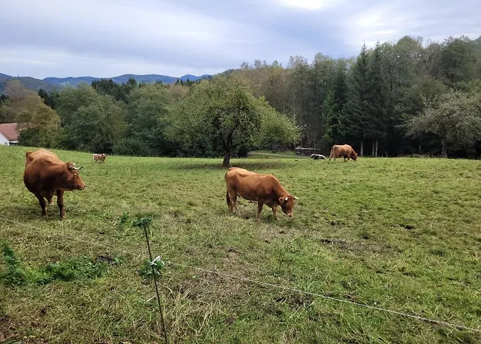 Maison De Дом отдыха Ле-Тийо